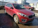 KIA - SORENTO