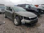 KIA - OPTIMA