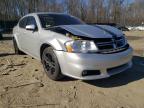 DODGE - AVENGER