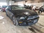 FORD - MUSTANG