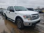 FORD - F-150