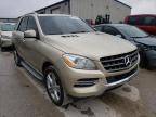 MERCEDES-BENZ - M-CLASS