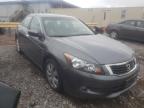 HONDA - ACCORD