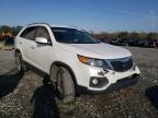 KIA - SORENTO