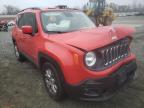 JEEP - RENEGADE