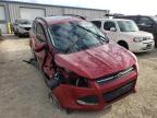 FORD - ESCAPE