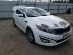 KIA - OPTIMA