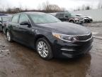 KIA - OPTIMA