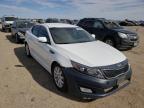 KIA - OPTIMA