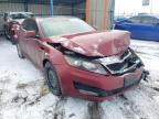 KIA - OPTIMA