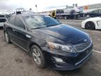 KIA - OPTIMA