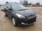 FORD - ESCAPE
