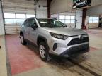 TOYOTA - RAV4