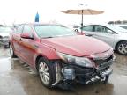 KIA - OPTIMA