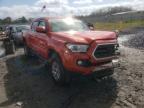 TOYOTA - TACOMA