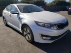 KIA - OPTIMA