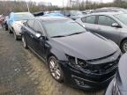 KIA - OPTIMA