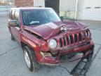 JEEP - PATRIOT