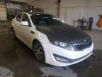 KIA - OPTIMA
