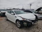 KIA - OPTIMA