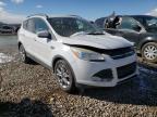 FORD - ESCAPE