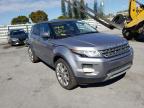 LAND ROVER - RANGE ROVER