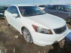 HONDA - ACCORD