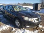 HONDA - ACCORD