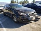 KIA - OPTIMA
