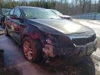 KIA - OPTIMA