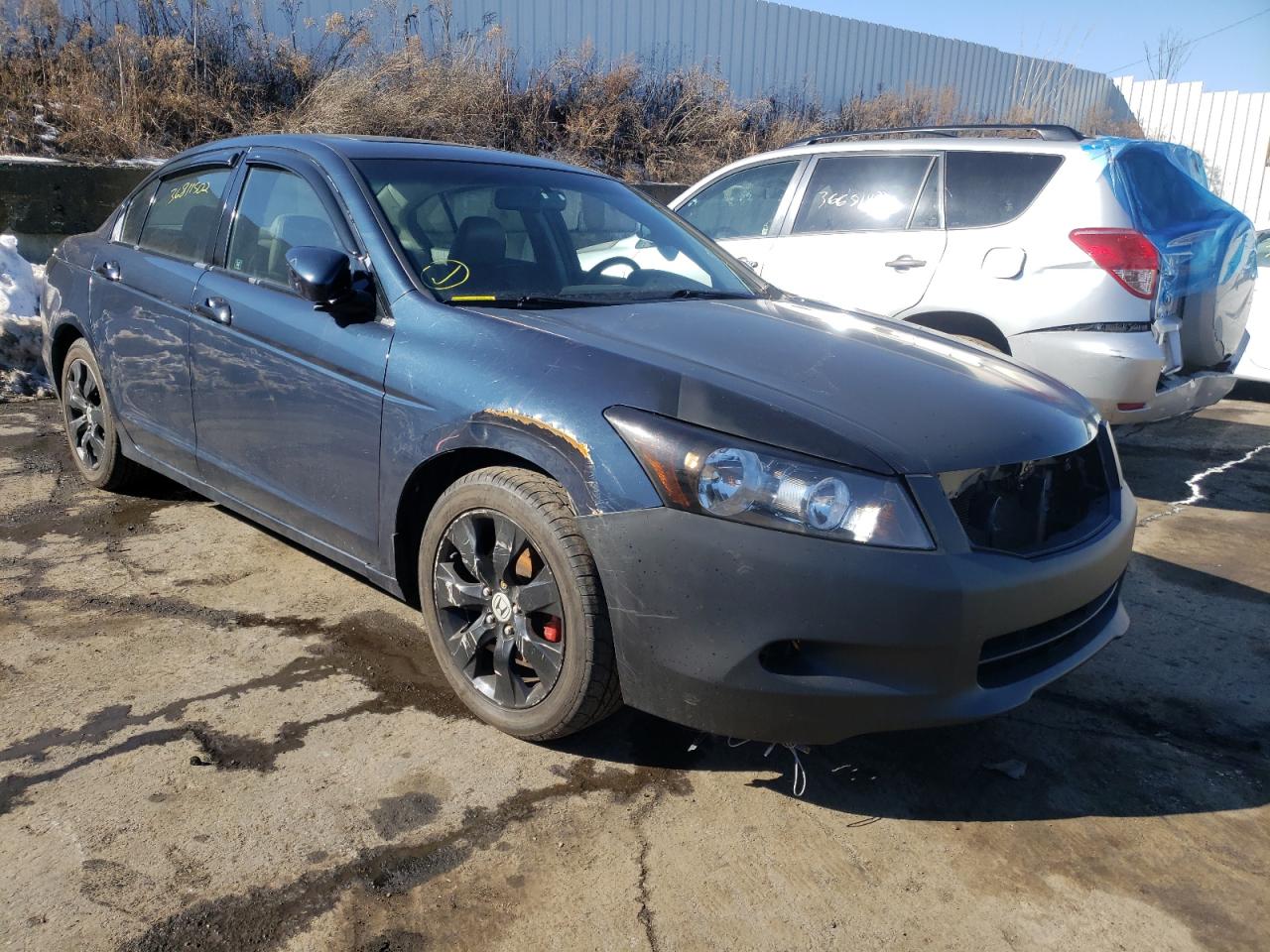 2010 HONDA ACCORD EXL VIN: 5KBCP3F87AB017583