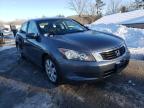 HONDA - ACCORD