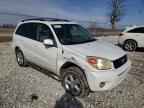 TOYOTA - RAV4