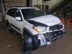 TOYOTA - RAV4