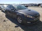 KIA - OPTIMA