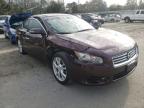 NISSAN - MAXIMA