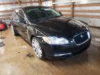 JAGUAR - XF