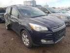 FORD - ESCAPE