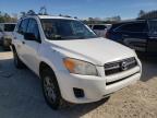 TOYOTA - RAV4