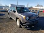 JEEP - RENEGADE