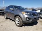 KIA - SORENTO