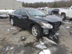 NISSAN - MAXIMA