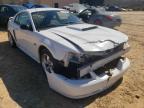 FORD - MUSTANG