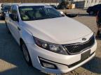 KIA - OPTIMA