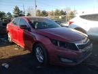KIA - OPTIMA