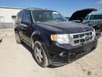 FORD - ESCAPE
