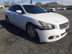 NISSAN - MAXIMA