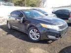 KIA - OPTIMA