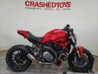 DUCATI - MONSTER