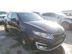 KIA - OPTIMA